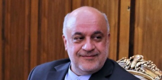 مجتبی امانی