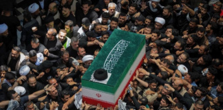 تشیع رهبری